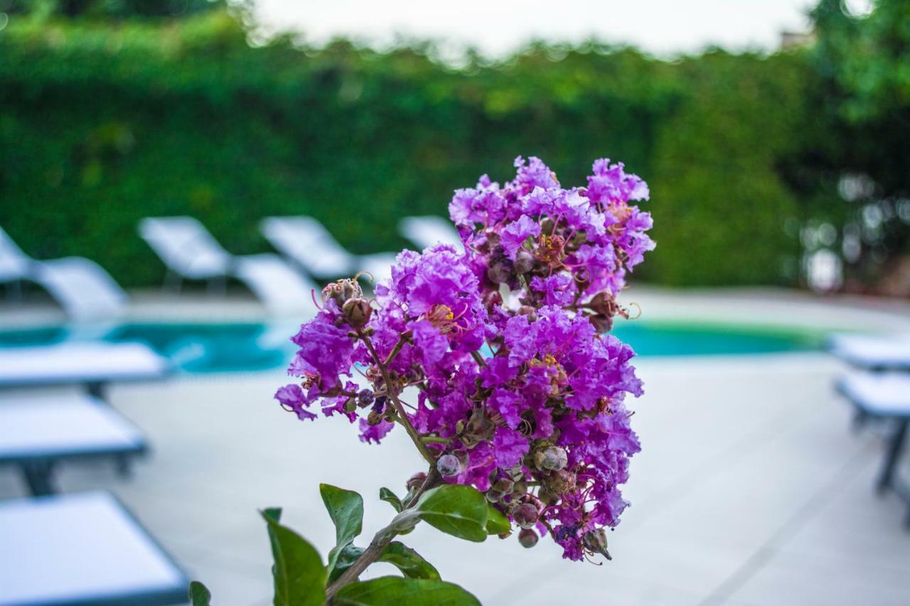 Villa Marylu' Ischia Esterno foto
